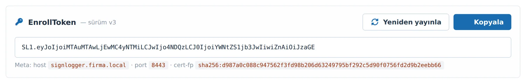 Figure 2. The EnrollToken box, the Copy/Reissue buttons, and the Meta line summarizing the token contents.